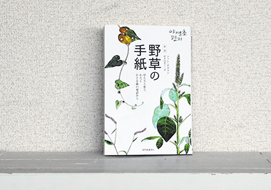 本屋さん_『どこにいるの イリオモテヤマネコ』